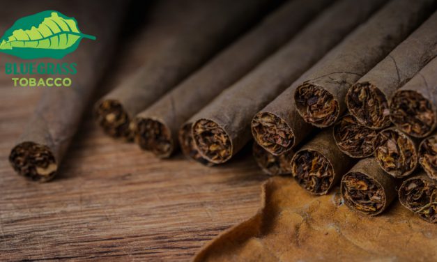 The Top 20 Popular Cigarillo Flavors