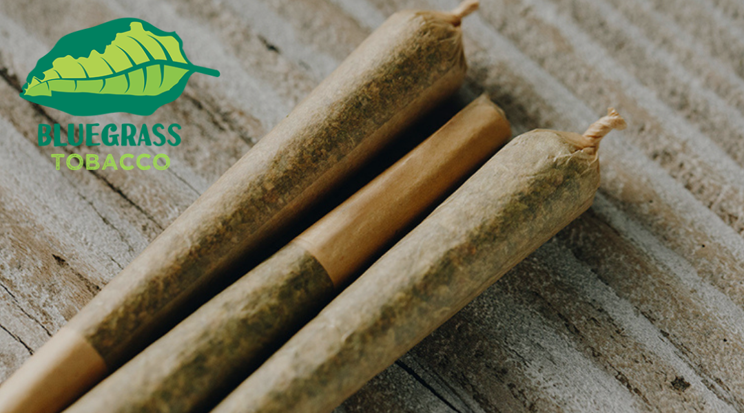 top 5 smoking cones