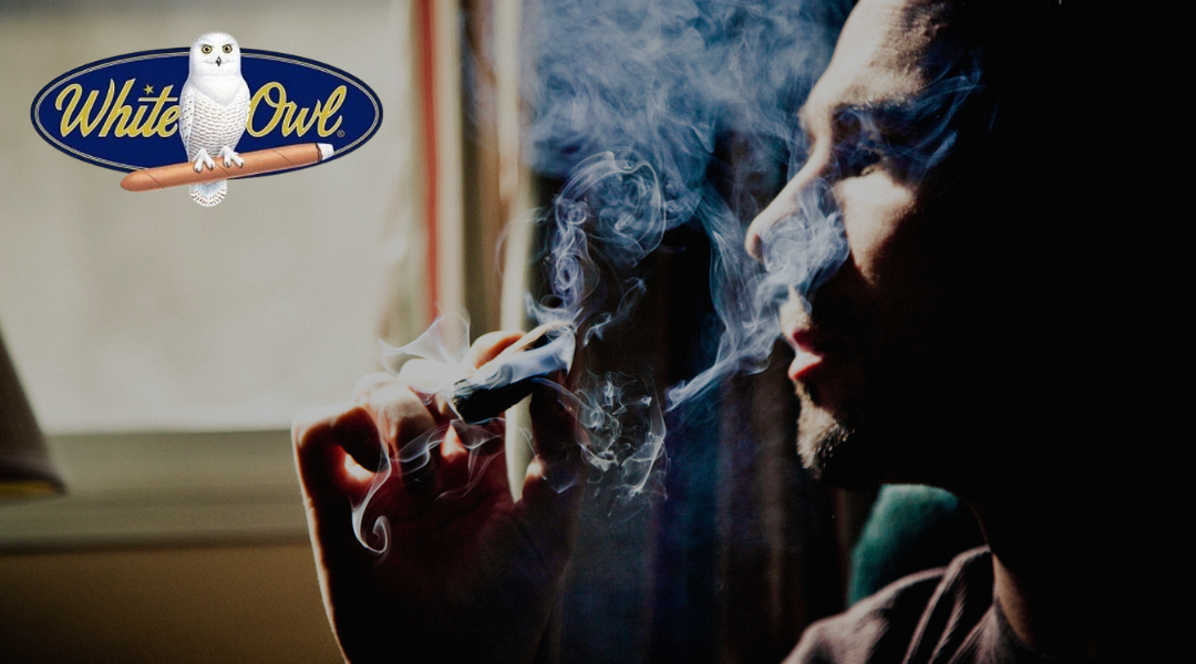 Top 10 Most Popular White Owl Cigarillo Flavors Bluegrass