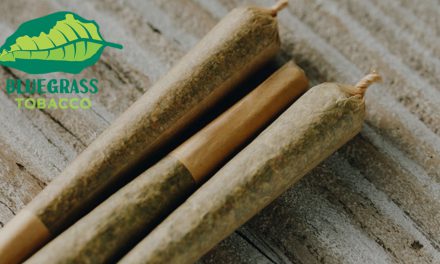 Top 5 Best-Selling Pre Rolled Cones In The US