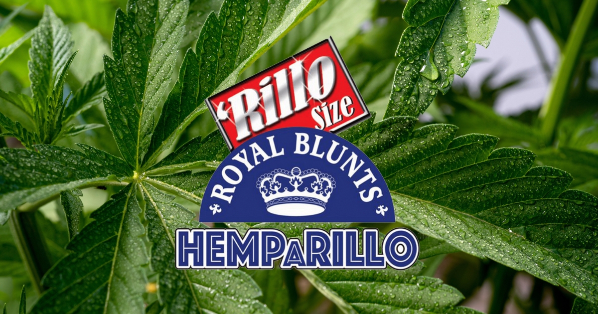 Best Royal Blunts Hemparillo Wrap Flavors, Smoked & Ranked