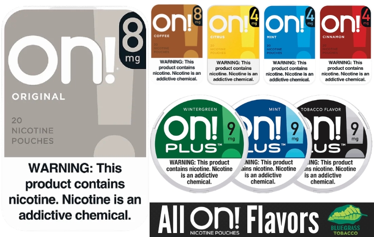 on nicotine pouches - all flavors review